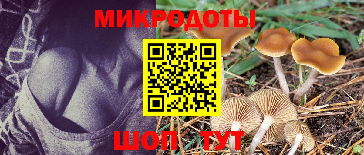 Псилоцибиновые грибы прущие грибы Великий Новгород